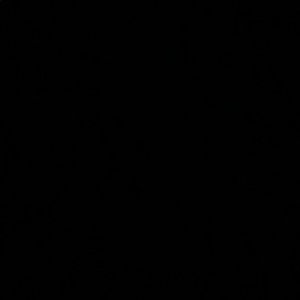 Meet your Posher, Tino